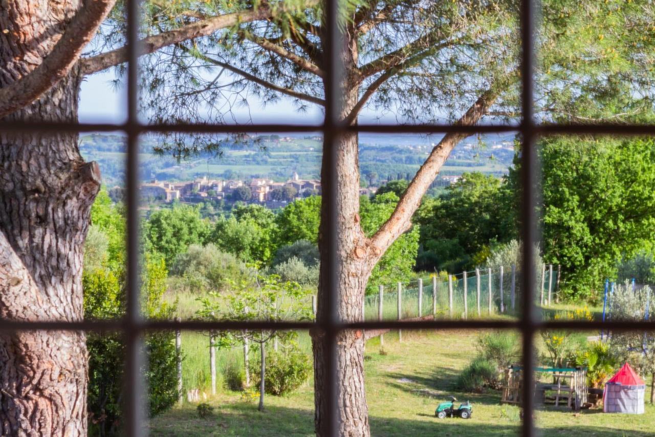 Casale Le Brecce B&B Otricoli Dış mekan fotoğraf