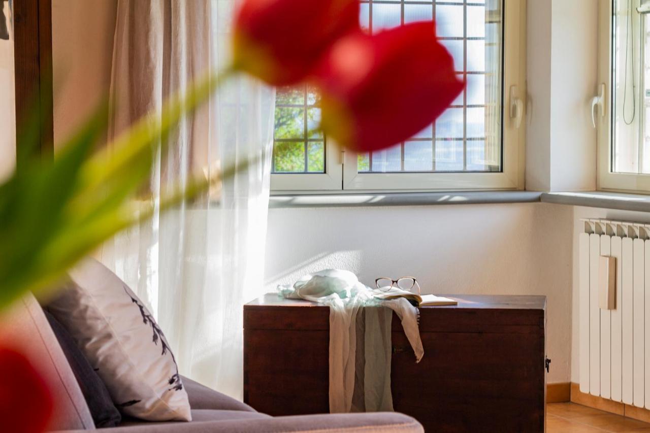 Casale Le Brecce B&B Otricoli Dış mekan fotoğraf