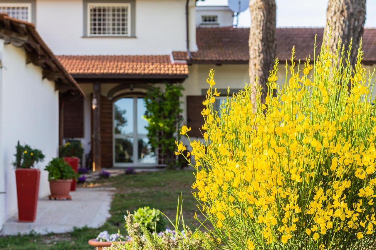 Casale Le Brecce B&B Otricoli Dış mekan fotoğraf