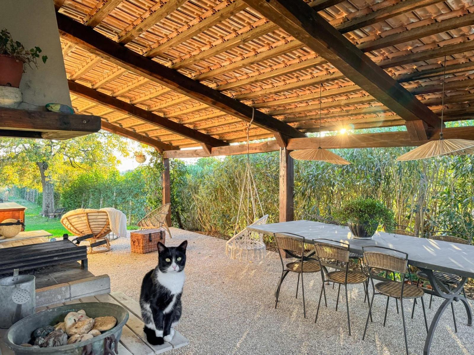 Casale Le Brecce B&B Otricoli Dış mekan fotoğraf