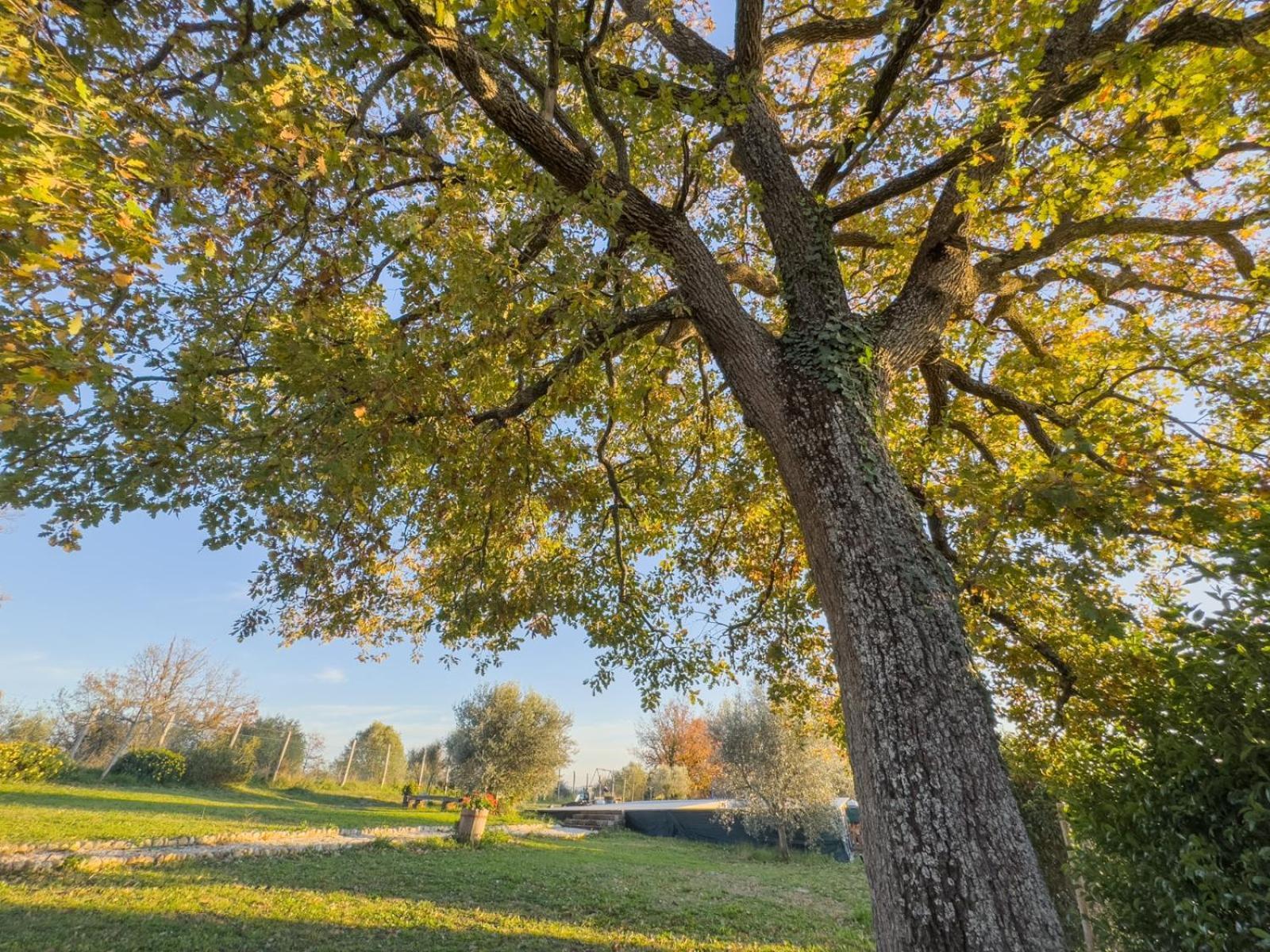 Casale Le Brecce B&B Otricoli Dış mekan fotoğraf